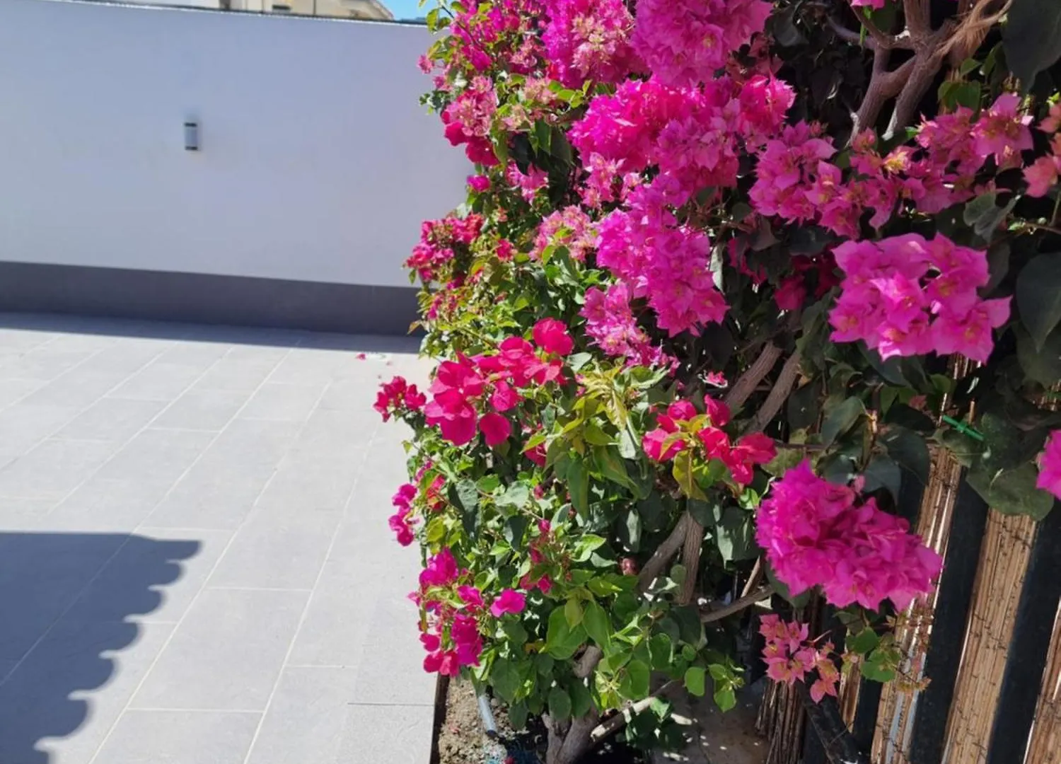 公寓 Espacioso Bungalow 2 Dormitorios En Maspalomas 西班牙